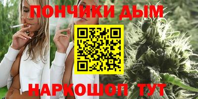 сатива Камышлов