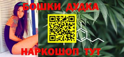 сатива Камышлов