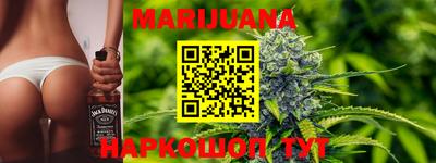 сатива Камышлов