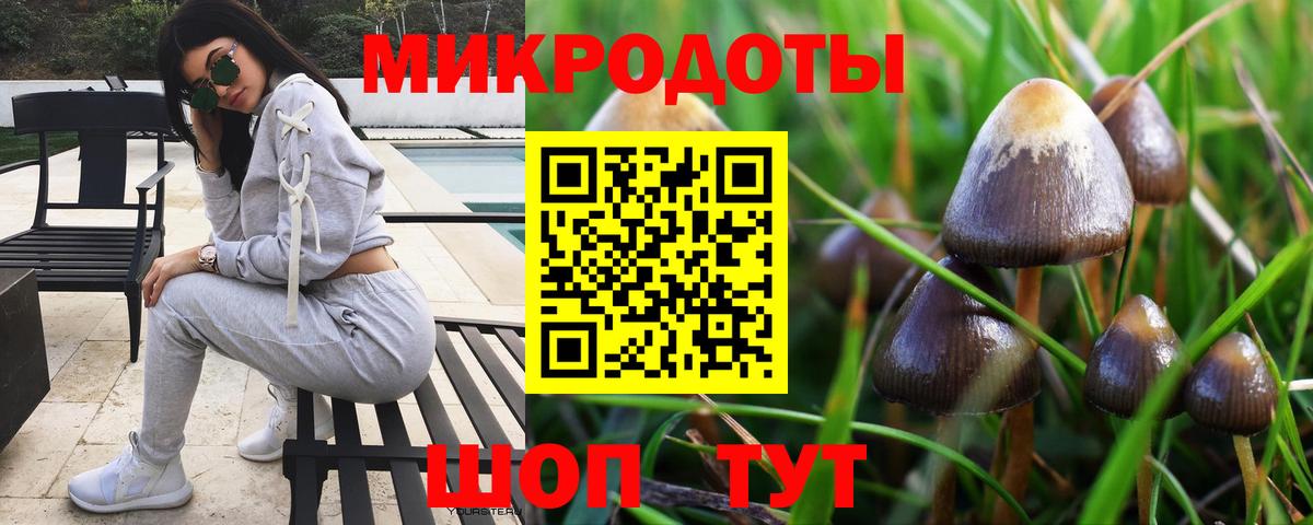 купить наркотик  Псилоцибиновые грибы Magic Shrooms  Вход с VPN  Котельники 